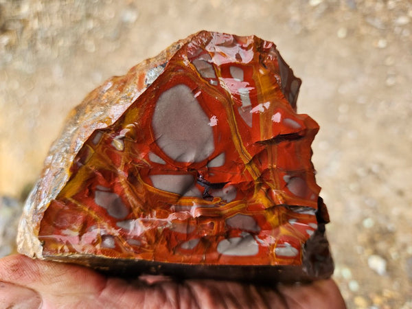 Noreena Jasper rough NJR195