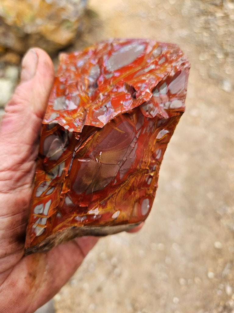 Noreena Jasper rough NJR195