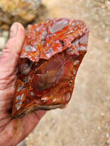 Noreena Jasper rough NJR195
