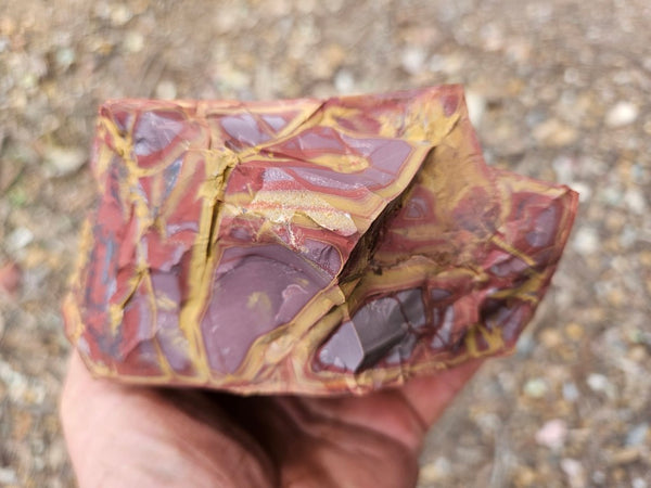 Noreena Jasper rough NJR196