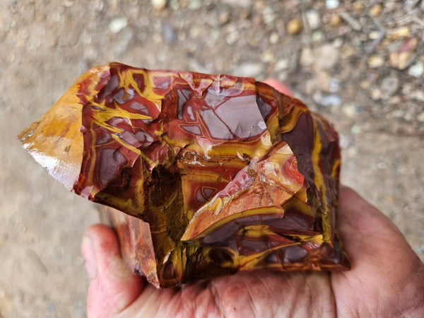 Noreena Jasper rough NJR196