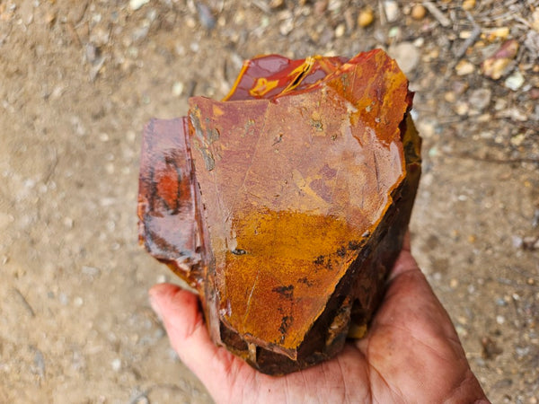 Noreena Jasper rough NJR196