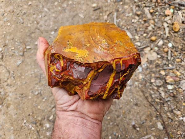 Noreena Jasper rough NJR196