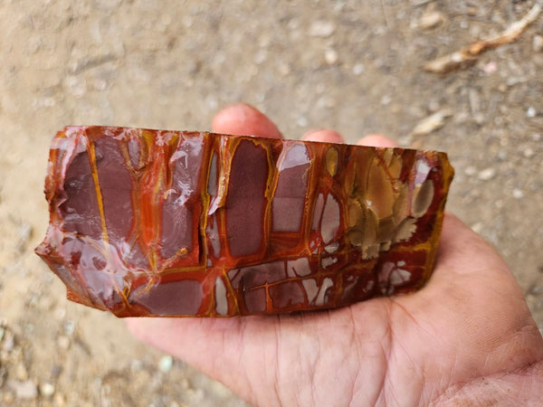 Noreena Jasper rough NJR197