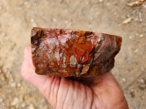Noreena Jasper rough NJR197