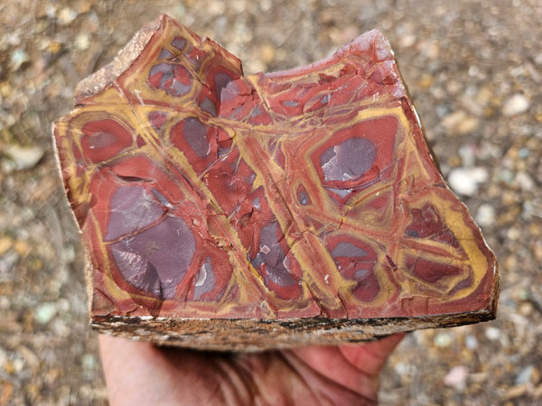 Noreena Jasper rough NJR198