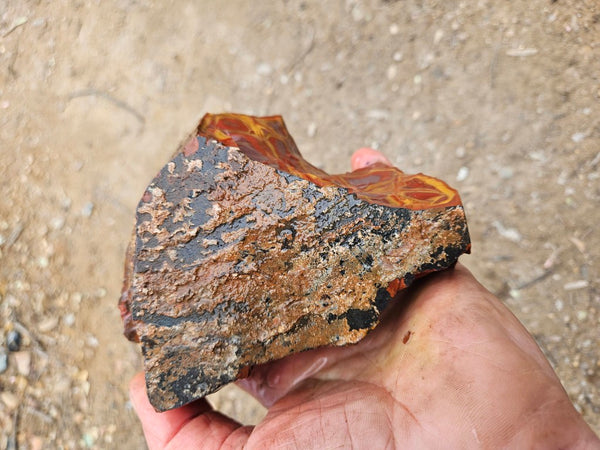 Noreena Jasper rough NJR198
