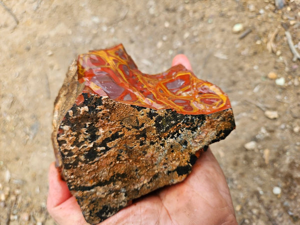 Noreena Jasper rough NJR198