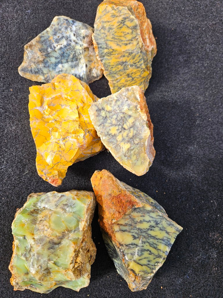 Dendritic Opal  rough.  DOR279