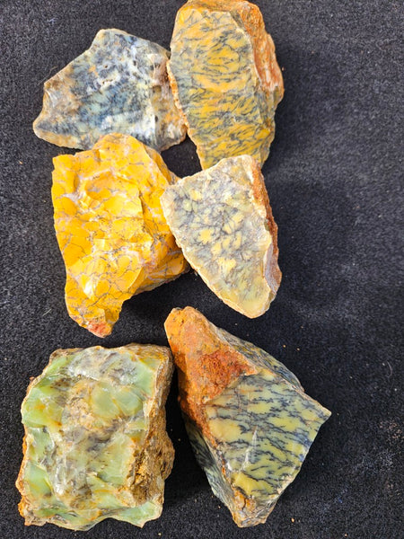 Dendritic Opal  rough.  DOR279