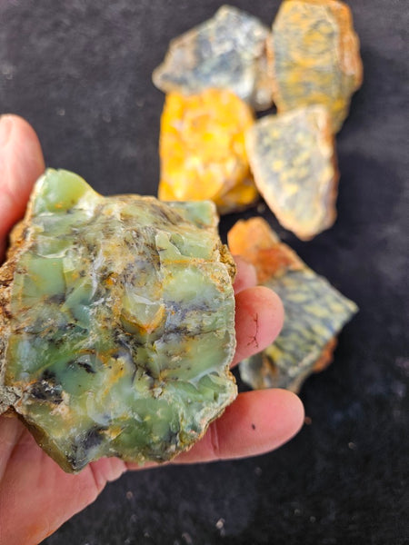 Dendritic Opal  rough.  DOR279