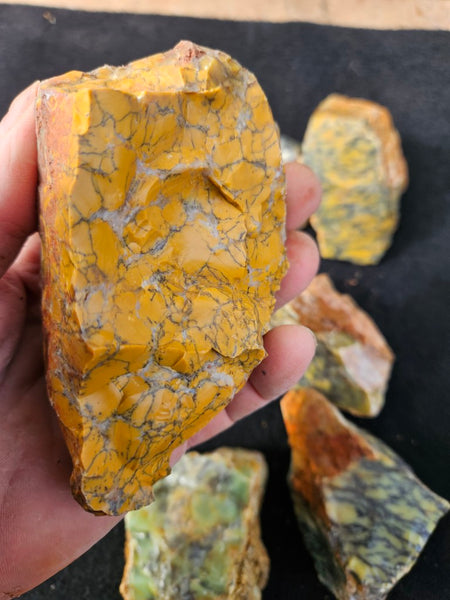 Dendritic Opal  rough.  DOR279