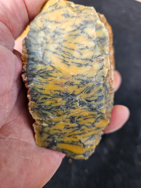 Dendritic Opal  rough.  DOR279