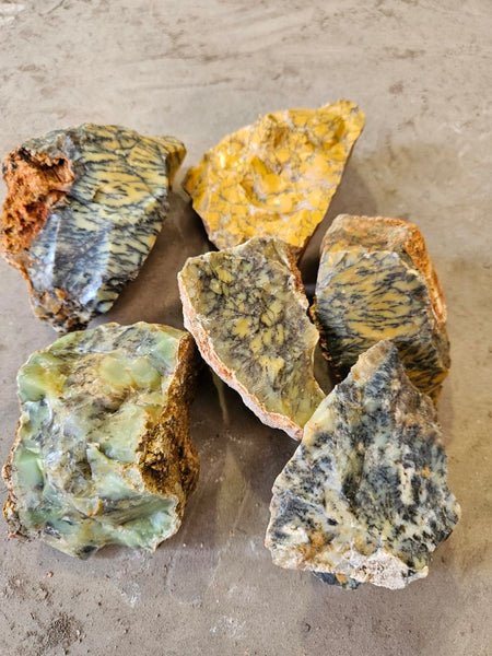 Dendritic Opal  rough.  DOR279