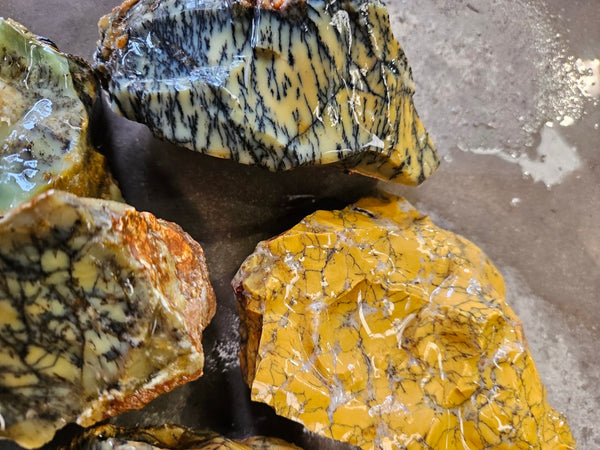 Dendritic Opal  rough.  DOR279