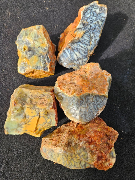 Dendritic Opal  rough.  DOR279