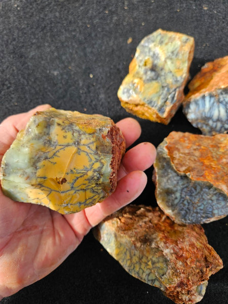 Dendritic Opal  rough.  DOR279