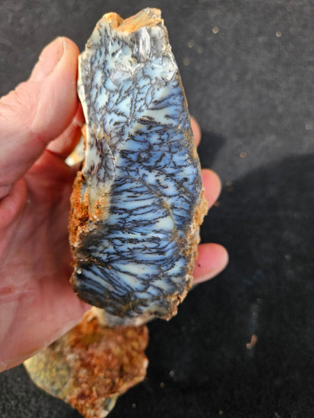 Dendritic Opal  rough.  DOR279