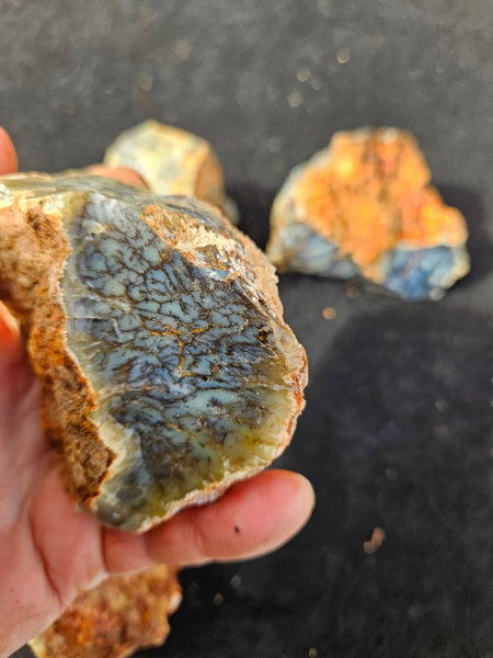 Dendritic Opal  rough.  DOR279