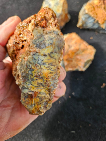 Dendritic Opal  rough.  DOR279