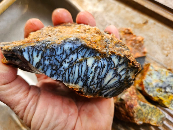 Dendritic Opal  rough.  DOR279