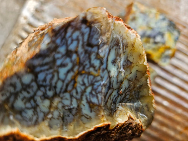 Dendritic Opal  rough.  DOR279