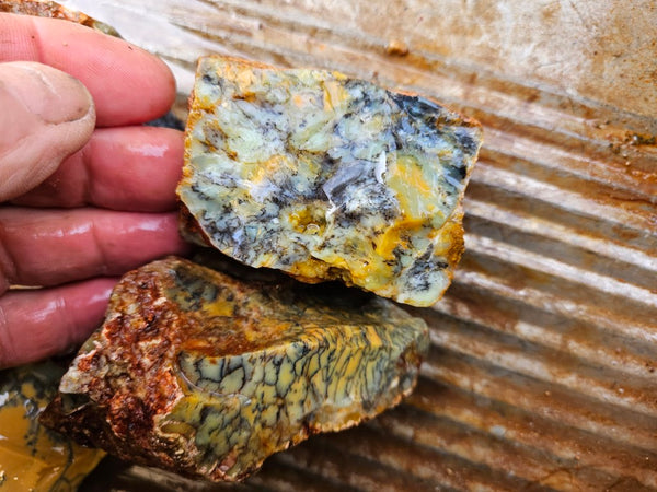 Dendritic Opal  rough.  DOR279
