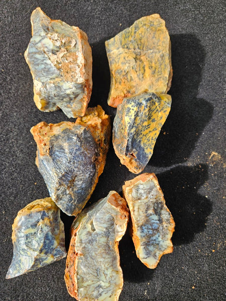 Dendritic Opal  rough.  DOR280