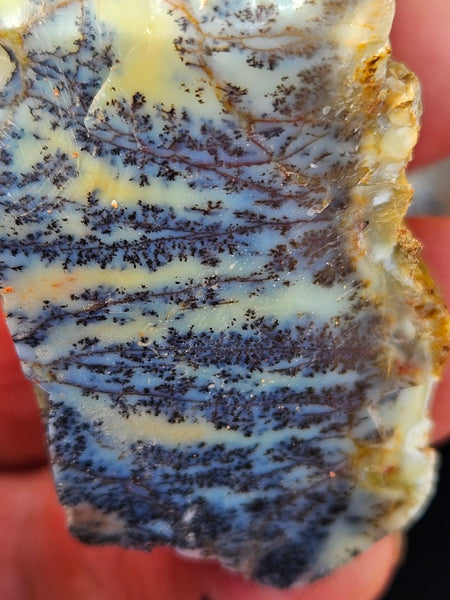 Dendritic Opal  rough.  DOR280