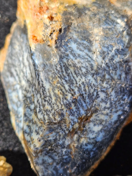 Dendritic Opal  rough.  DOR280