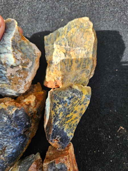Dendritic Opal  rough.  DOR280