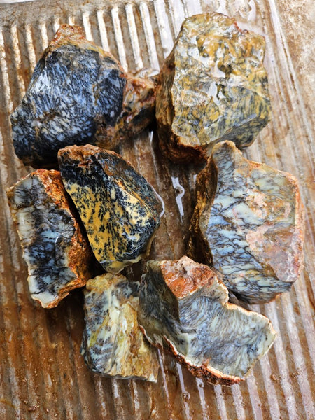 Dendritic Opal  rough.  DOR280