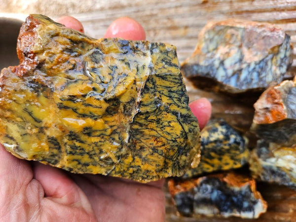 Dendritic Opal  rough.  DOR280
