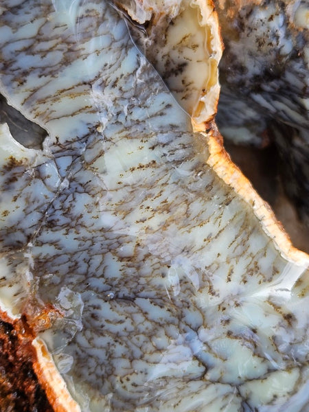 Dendritic Opal  rough.  DOR280