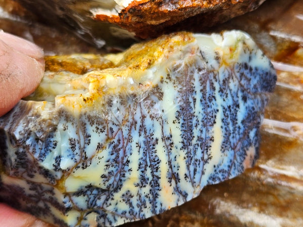 Dendritic Opal  rough.  DOR280