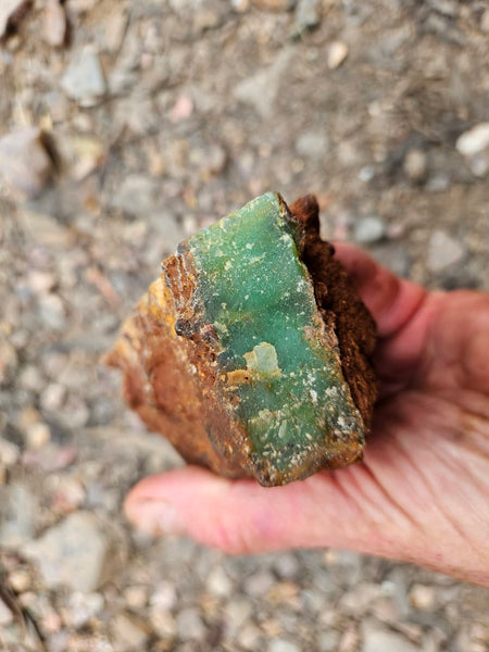 Chrysoprase rough.  CHR 217