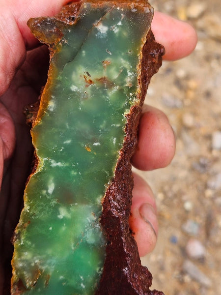 Chrysoprase rough.  CHR 217