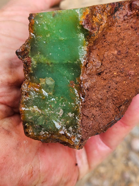 Chrysoprase rough.  CHR 217