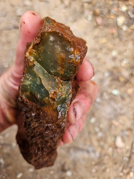 Chrysoprase rough.  CHR 217