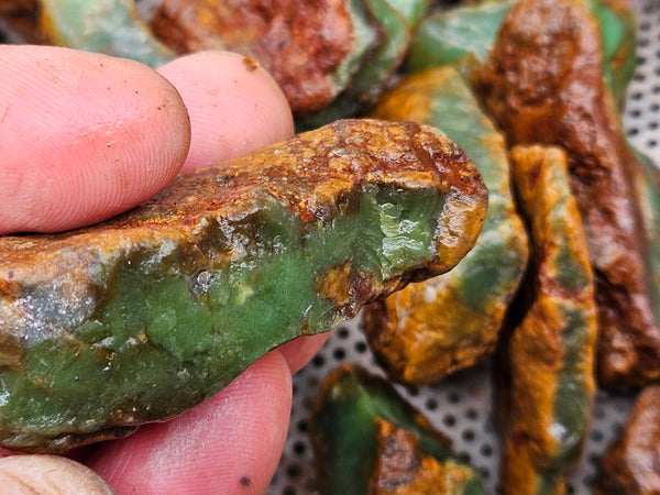 Chrysoprase rough.  CHR 218
