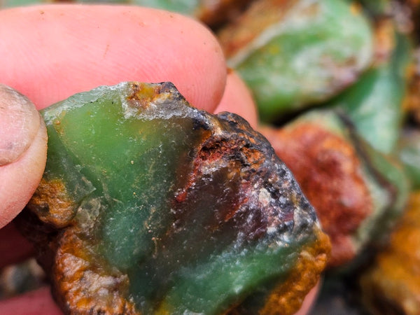 Chrysoprase rough.  CHR 218