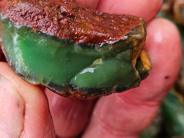 Chrysoprase rough.  CHR 218