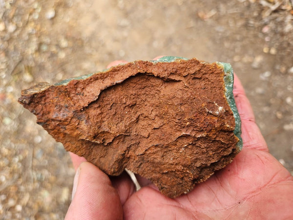 Chrysoprase rough.  CHR 216