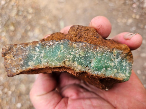 Chrysoprase rough.  CHR 216
