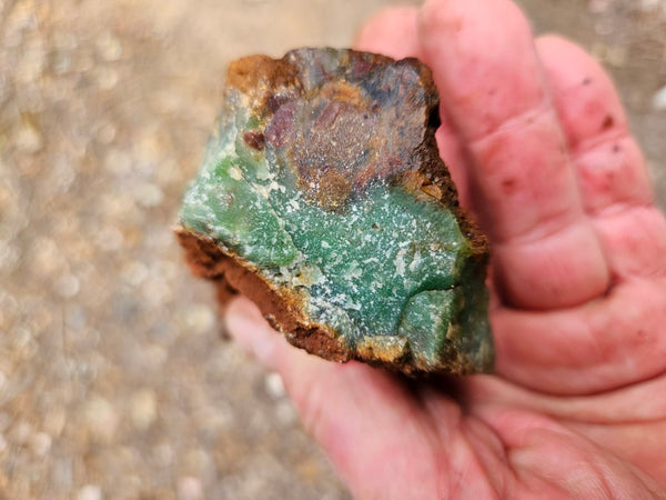 Chrysoprase rough.  CHR 216
