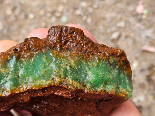 Chrysoprase rough.  CHR 216