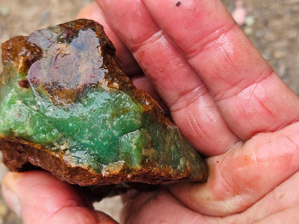 Chrysoprase rough.  CHR 216