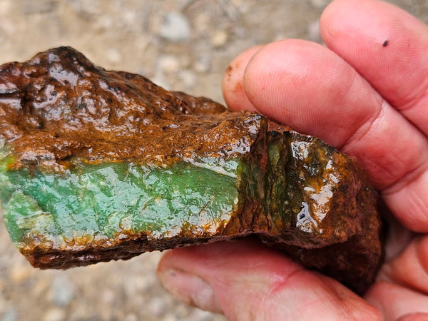 Chrysoprase rough.  CHR 216