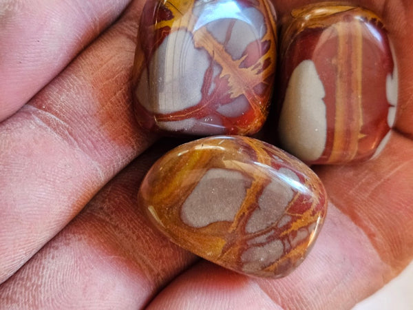Tumble Polished Noreena Jasper NJT138