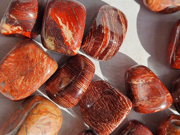 Tumble Polished Snakeskin Jasper SST131